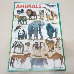 Karton Gambar Edukasi Anak Gambar Hewan Animals 34 X 49 Cm Dinding Tembok Murah