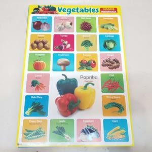 Karton Gambar Edukasi Anak Belajar Gambar Sayuran Inggris Indonesia 34 X 49 Cm Dinding Tembok Murah