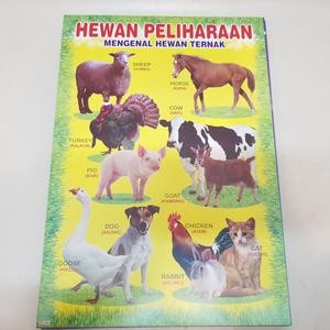 Karton Gambar Edukasi Anak Gambar Hewan Peliharaan 34 X 49 Cm Dinding Tembok Murah