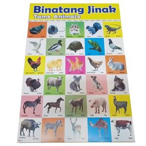Karton Gambar Edukasi Anak Gambar Binatang Jinak 34 X 49 Cm Dinding Tembok Murah