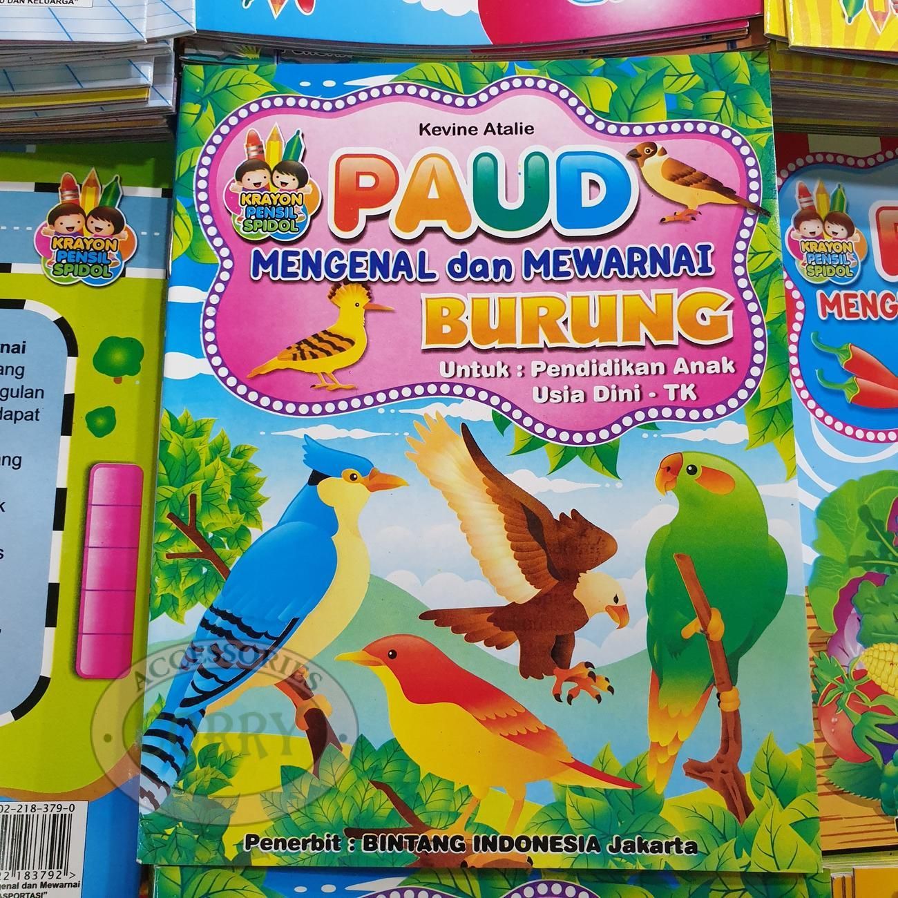 Buku Belajar Anak Mengenal Dan Mewarnai Burung Untuk PAUD TK Gambar Murah - Main view
