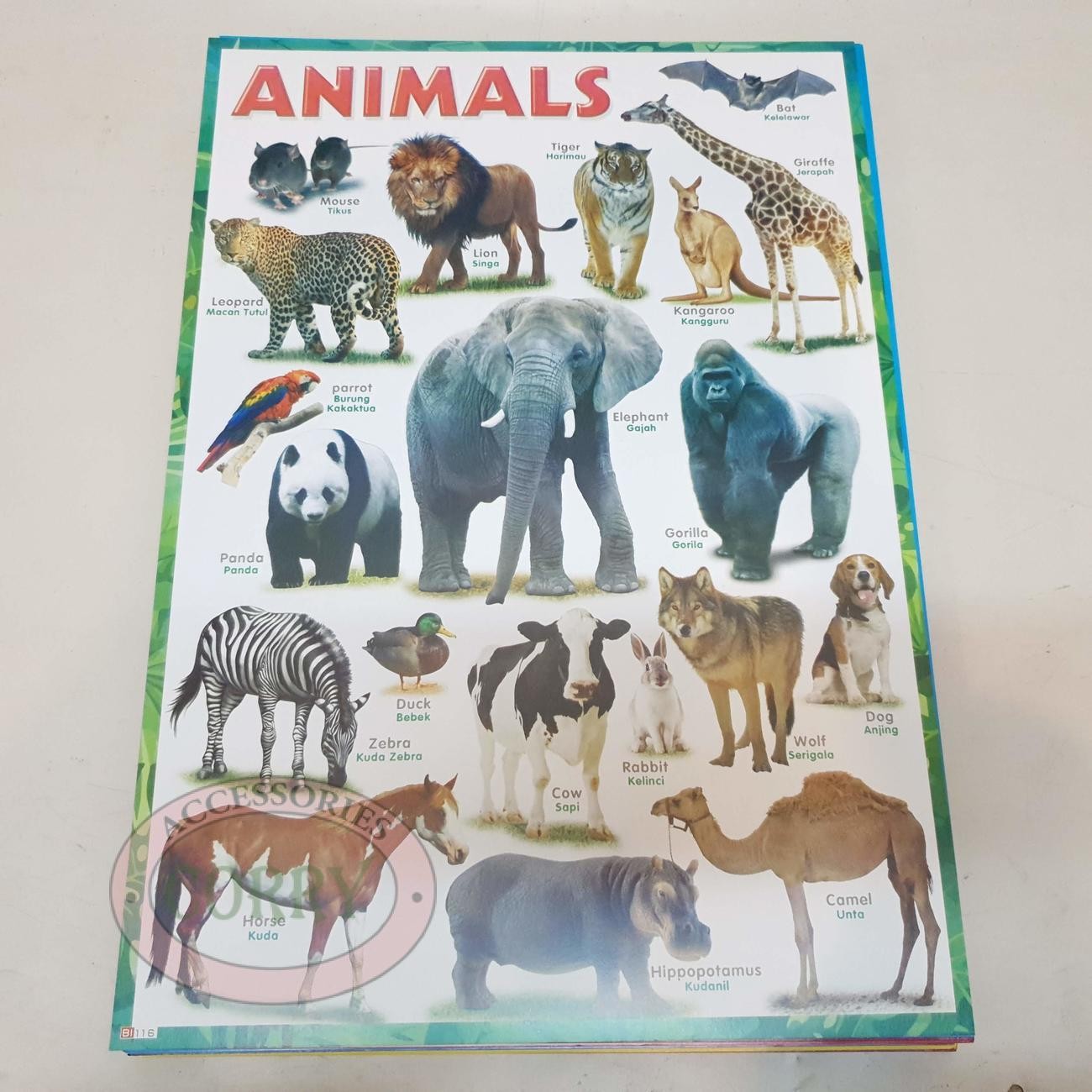 Karton Gambar Edukasi Anak Gambar Hewan Animals 34 X 49 Cm Dinding Tembok Murah - Main view