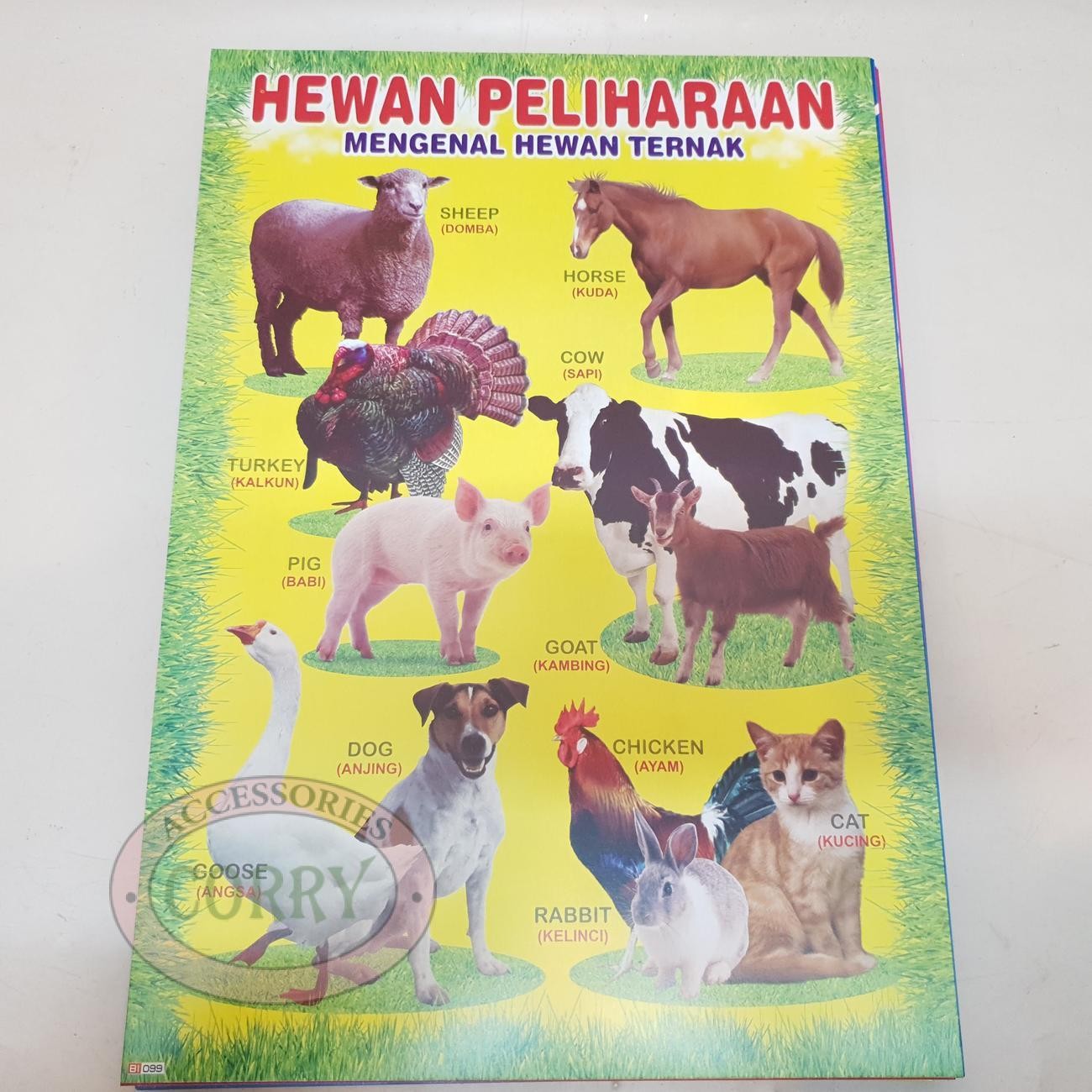 Karton Gambar Edukasi Anak Gambar Hewan Peliharaan 34 X 49 Cm Dinding Tembok Murah - Main view