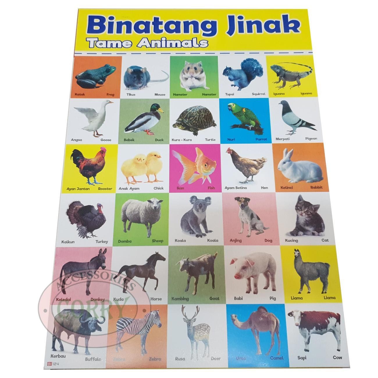 Karton Gambar Edukasi Anak Gambar Binatang Jinak 34 X 49 Cm Dinding Tembok Murah - Main view