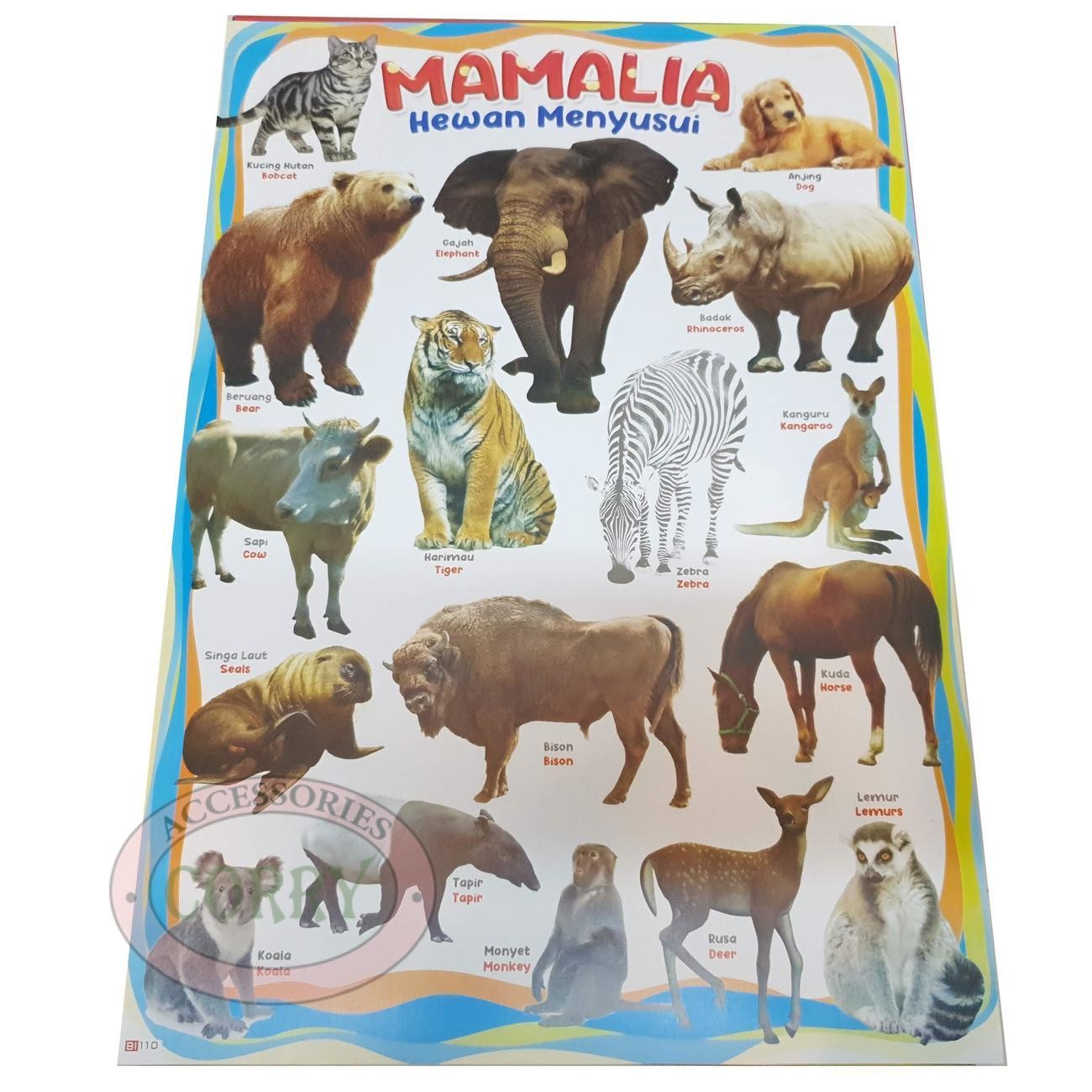 Karton Gambar Edukasi Anak Belajar Gambar Hewan Menyusui Mamalia 34 X 49 Cm Dinding Tembok Murah - Main view